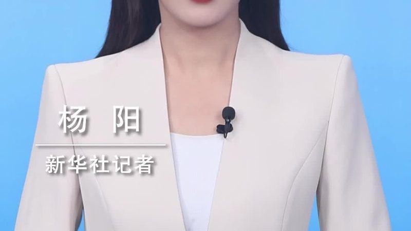银行核心系统外包定制开发的必要性解析**